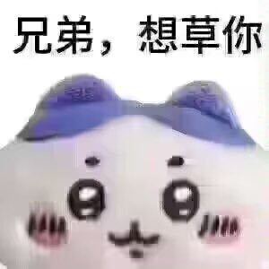 狂野の中熊 tweet media