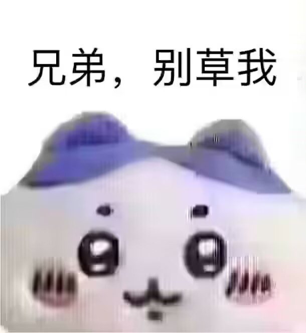 狂野の中熊 tweet media