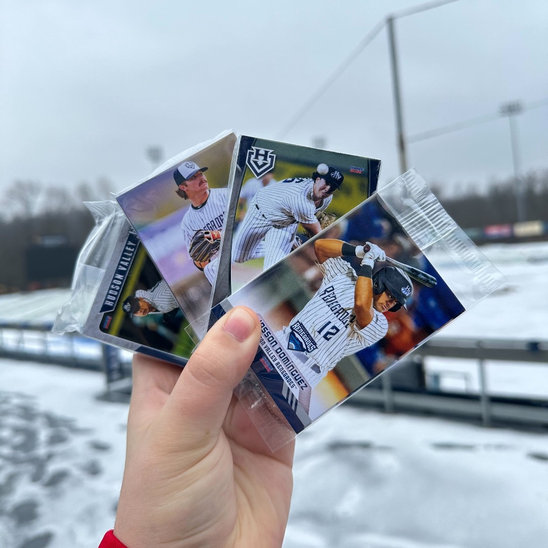 Hudson Valley Renegades tweet media