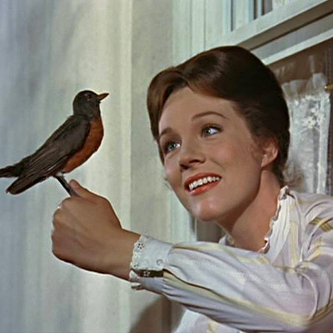 'J'ai déjà vu cette silhouette quelque part, Mary Poppins !' - Bert #MaryPoppins