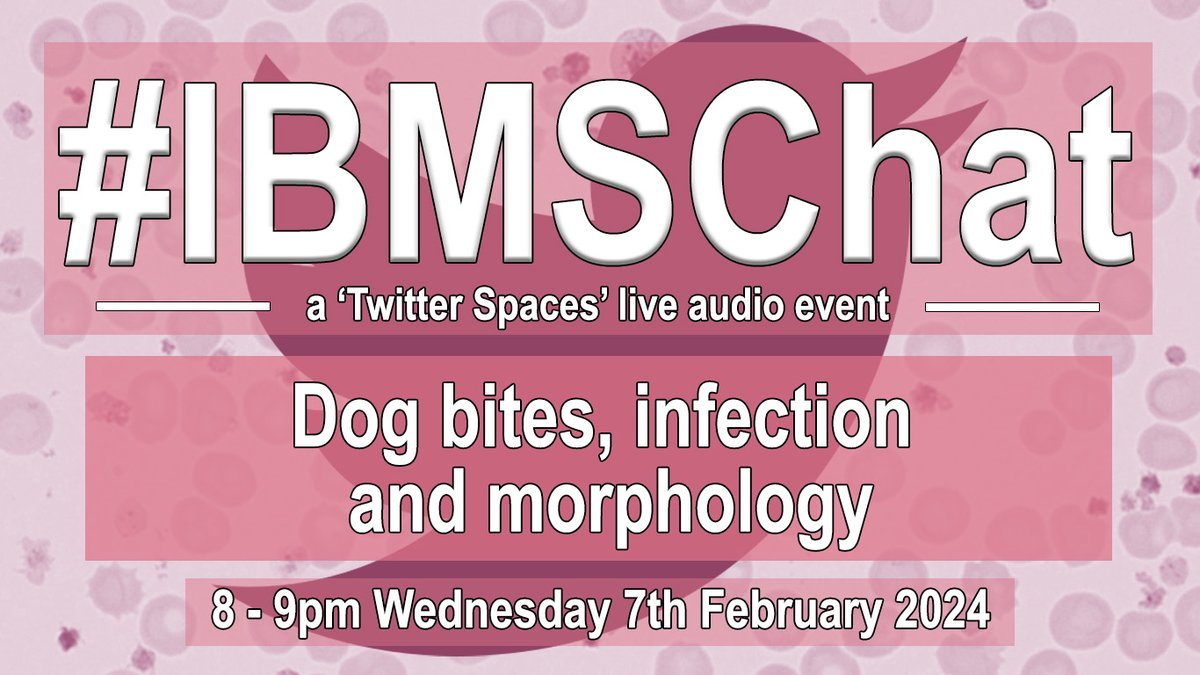 Our monthly #IBMSChat returns from February 2024. Set a reminder now for the 7th February Twitter/X Space to hear from our regular host @RDabrowski and guest speaker @Promyelocyte13, as they discuss dog bites, infection and morphology. twitter.com/i/spaces/1RDGl…