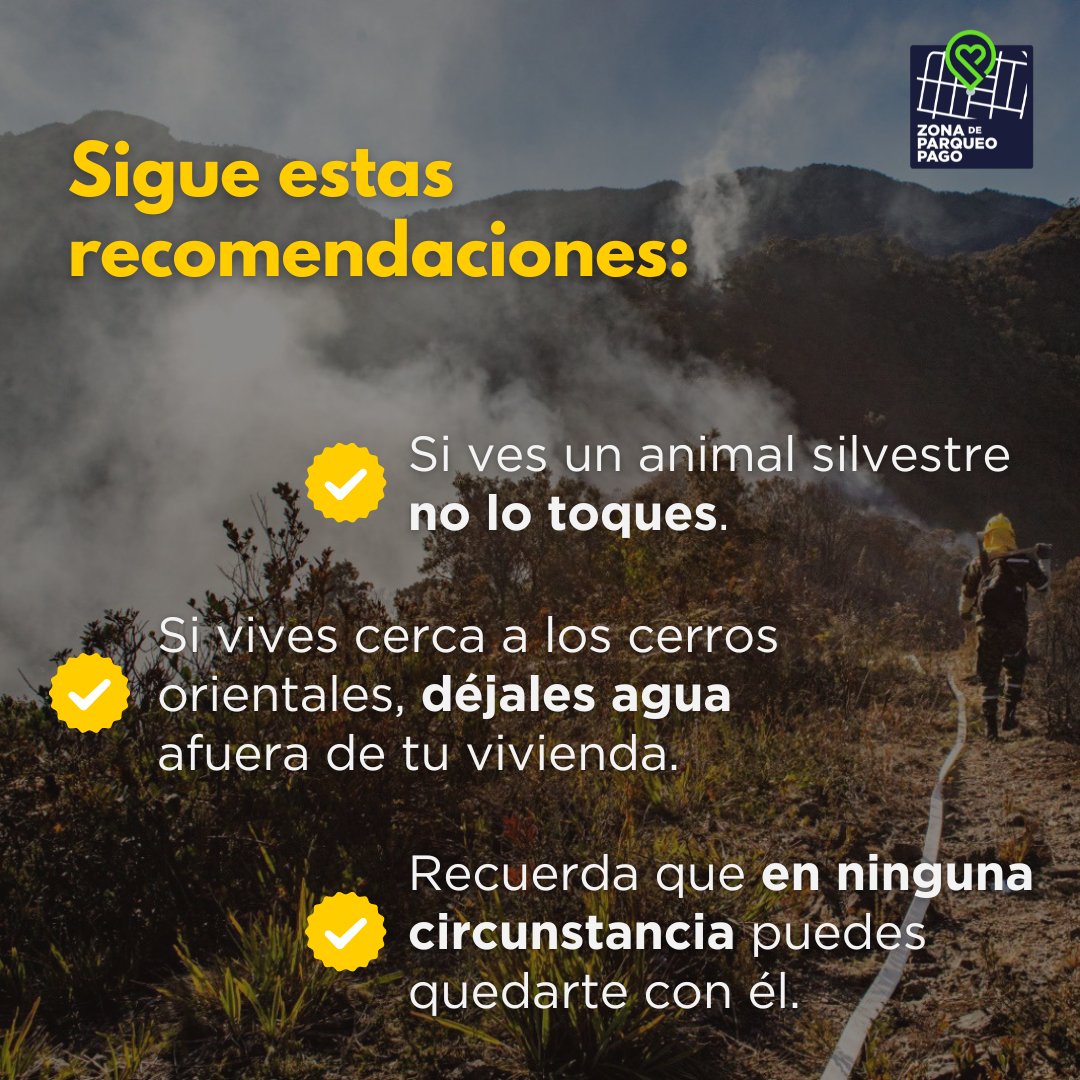 ZonaParqueoPago's tweet photo. Nuestros vecinos peludos 🐿️ de los cerros orientales están en peligro. Si ves un animal silvestre 🐦 afectado por los recientes incendios, te invitamos a seguir estas recomendaciones. 🐰🐍🐭

¡Comparte esta información! https://t.co/wpZH5Xi6f8