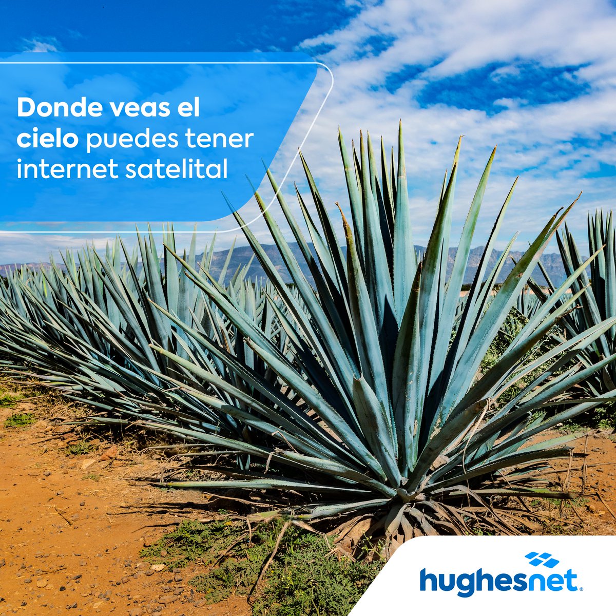 HughesnetMexico tweet media