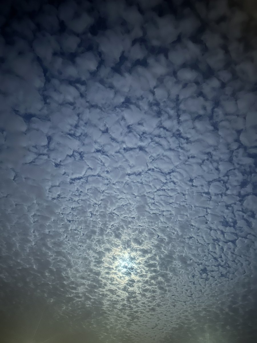 abode6566's tweet photo. حيّ ليل رافقه قمرا وغيم ☁️🌓

#الاجواء_الحلوة 
#قمر_الليله
#القمر 
#قمرا
#تصويري 
#سكاكا https://t.co/35TWNeZaeA