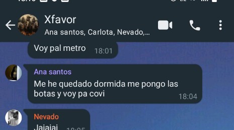 ivo tweet media