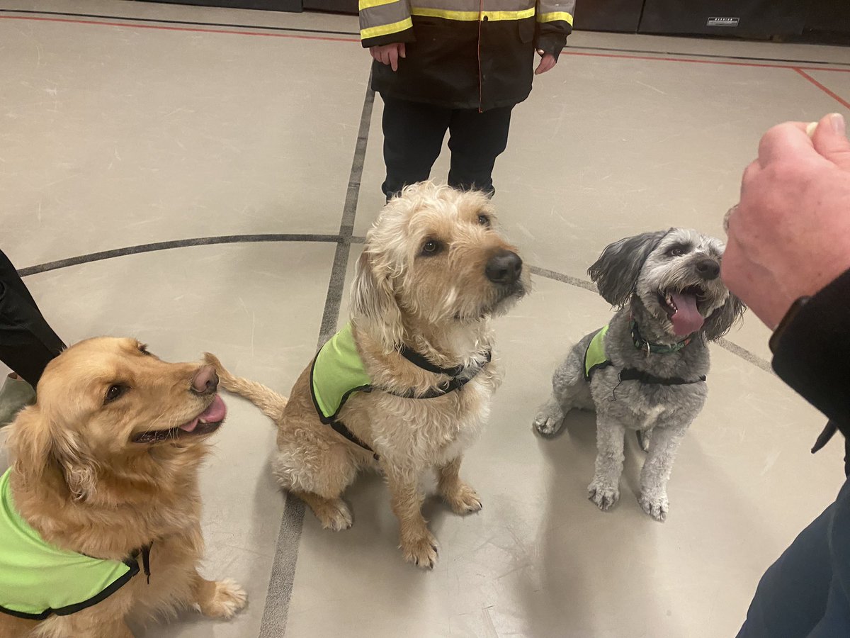 Rachael Fogarty tweet media