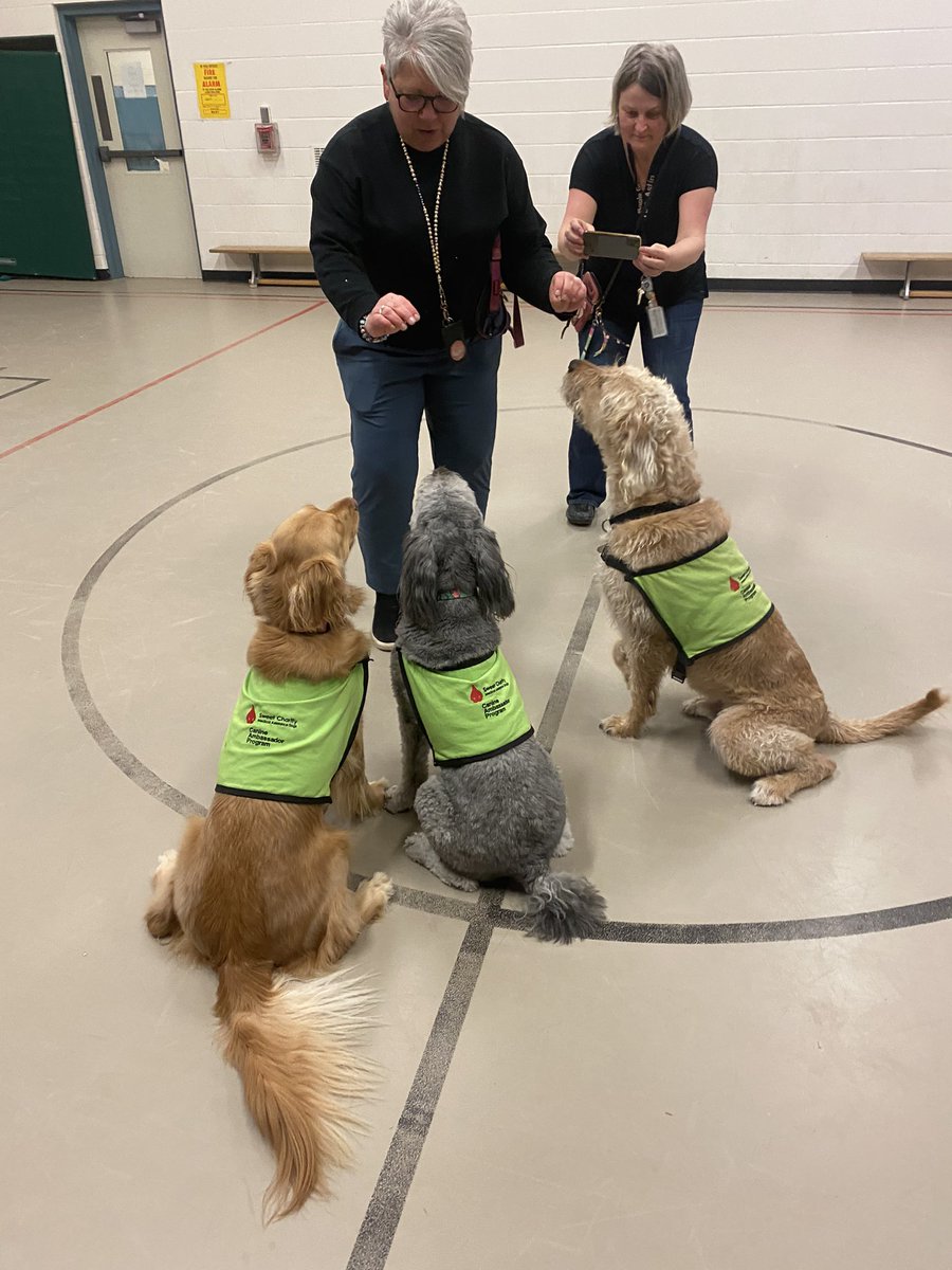 Rachael Fogarty (@rfogarty78) on Twitter photo <a href="/MapleGrovePS/">Maple Grove P.S.</a> taking action every day with <a href="/SweetCharityDog/">Sweet Charity</a> to support positive mental health in our school! <a href="/SCDSB_MHWB/">SCDSB Mental Health and Well-Being</a> <a href="/opheacanada/">Ophea</a> #MHPinaction <a href="/MapleGrovePS/">Maple Grove P.S.</a> taking action every day with <a href="/SweetCharityDog/">Sweet Charity</a> to support positive mental health in our school! <a href="/SCDSB_MHWB/">SCDSB Mental Health and Well-Being</a> <a href="/opheacanada/">Ophea</a> #MHPinaction
