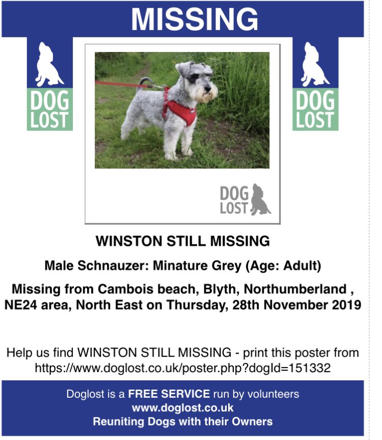 WINSTON STILL MISSING

Male Schnauzer: Minature Grey (Age: Adult)

From Cambois Beach, #Blyth #Northumberland NE24 area, Thursday, 28th November 2019 

doglost.co.uk/dog-blog.php?d…

Microchipped #MakeChipsCount #ScanMe #FernsLaw #TheftByFinding #PetAbduction #PetTheftReform #PetTheft