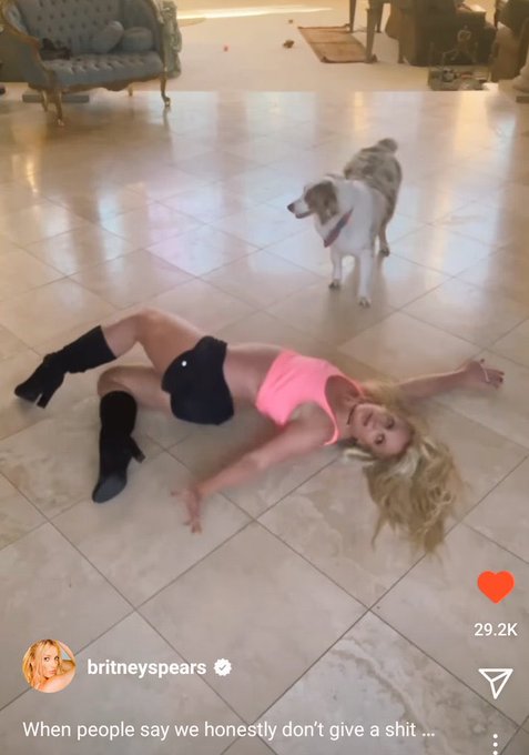 Mood https://t.co/bMzSVHWiXp