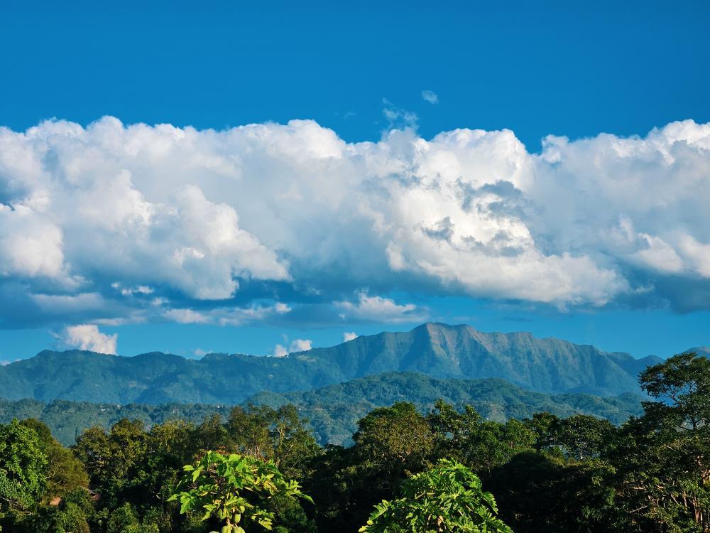 mizoraminsta's tweet photo. Saikawrhmuituai tlang as seen from West Serzawl
.
.
Pic credit 📷 @laltleipuia_khiangte
.
.
.
#sakawrhmuituaitlang #sakawrhmuituai #mountain #hill #hillrange #highlands #hilly #mizoram #mizoraminsta #northeastIndia https://t.co/sMZKAzvBvI