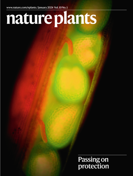 NaturePlants's tweet photo. The January issue is now fully online:
https://t.co/BvwrA1Qe44 https://t.co/k3VHaa84Fl