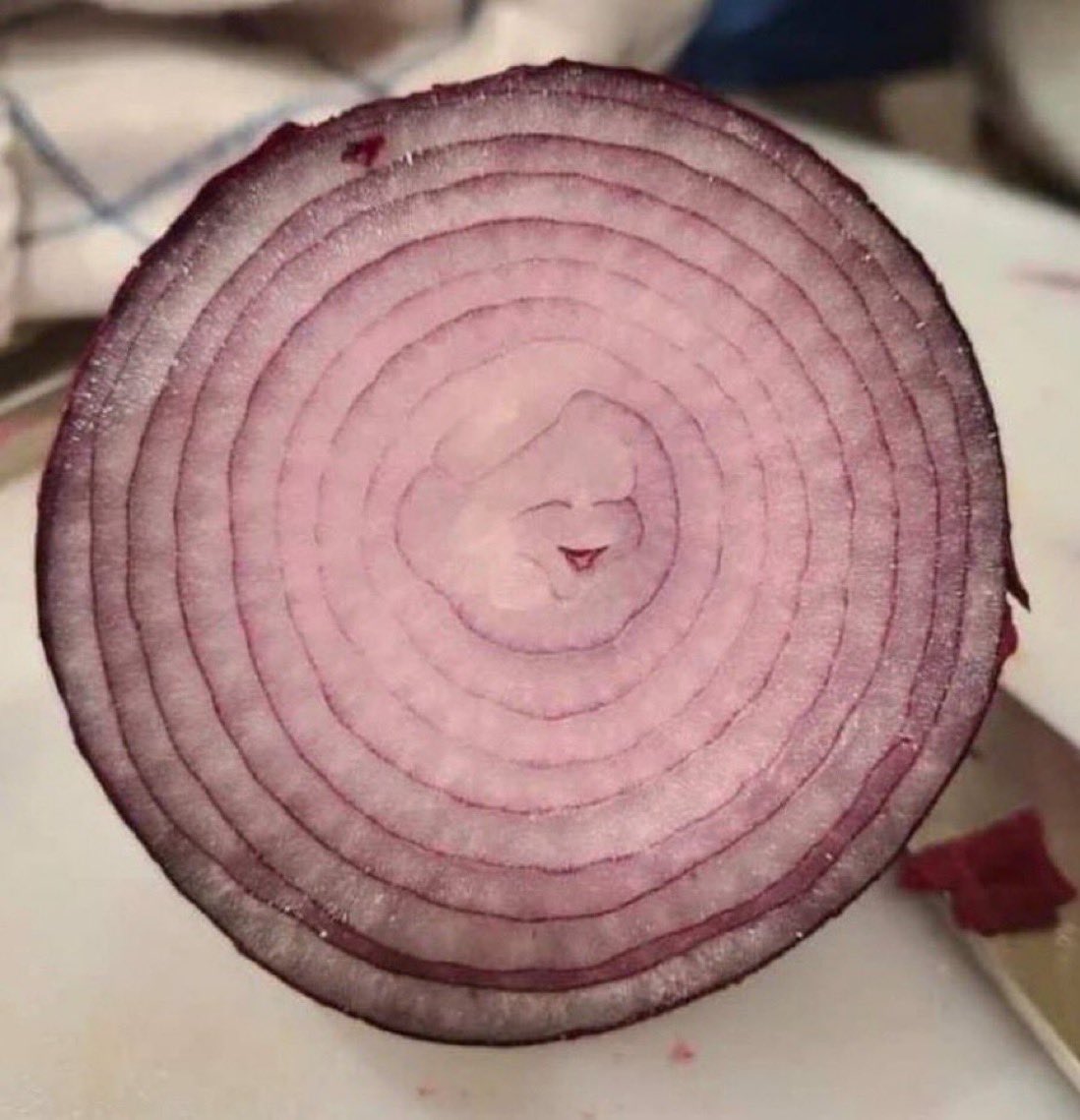 don't ignore the happy little onion and you will have the best year ever