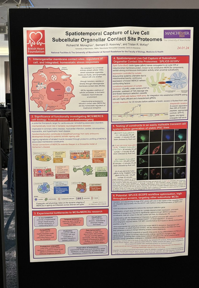 Great hearing about the collaboration opportunities and world leading technologies at The National Facilities and The University of Manchester at Harwell Roadshow. And for the opportunity to present a poster on my interorganellar contact sites work. @HarwellCampus @awtrafford