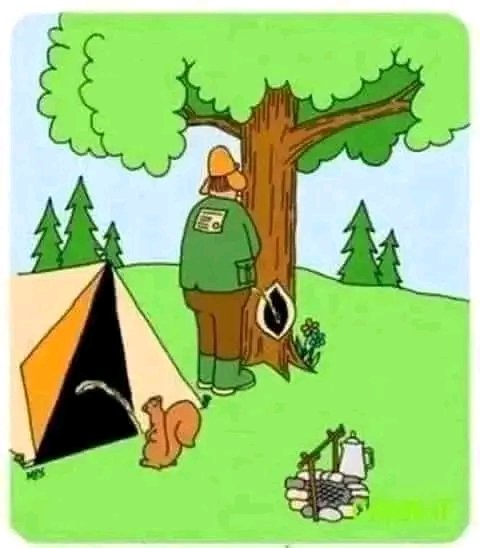 Püppi 🛟⚓️❤️🛟⚓️❤️ tweet media