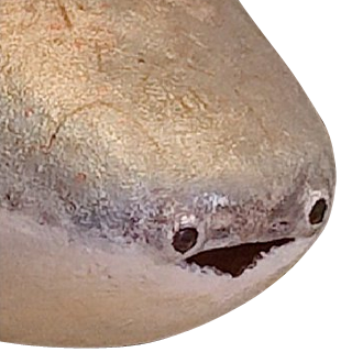 Bikupan🔞 tweet media