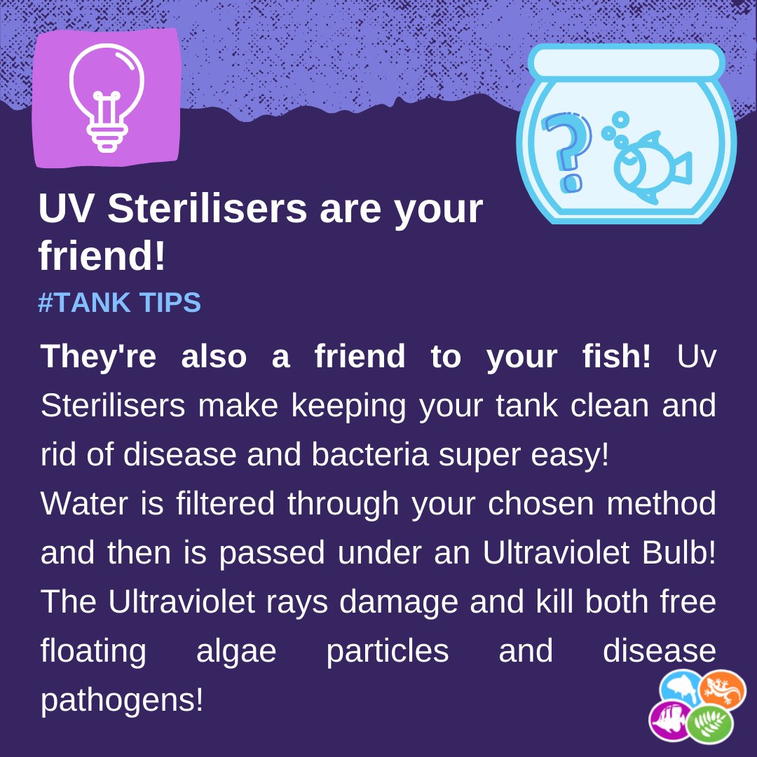 We have a wide range of UV Sterilisers including the Vecton Units by Tropical Marine Centre! 🐠
Get yours on our website now! 🐠

#tanktips #UVsterilisers #ultraviolet #nature #fish #aquarium #fishtank