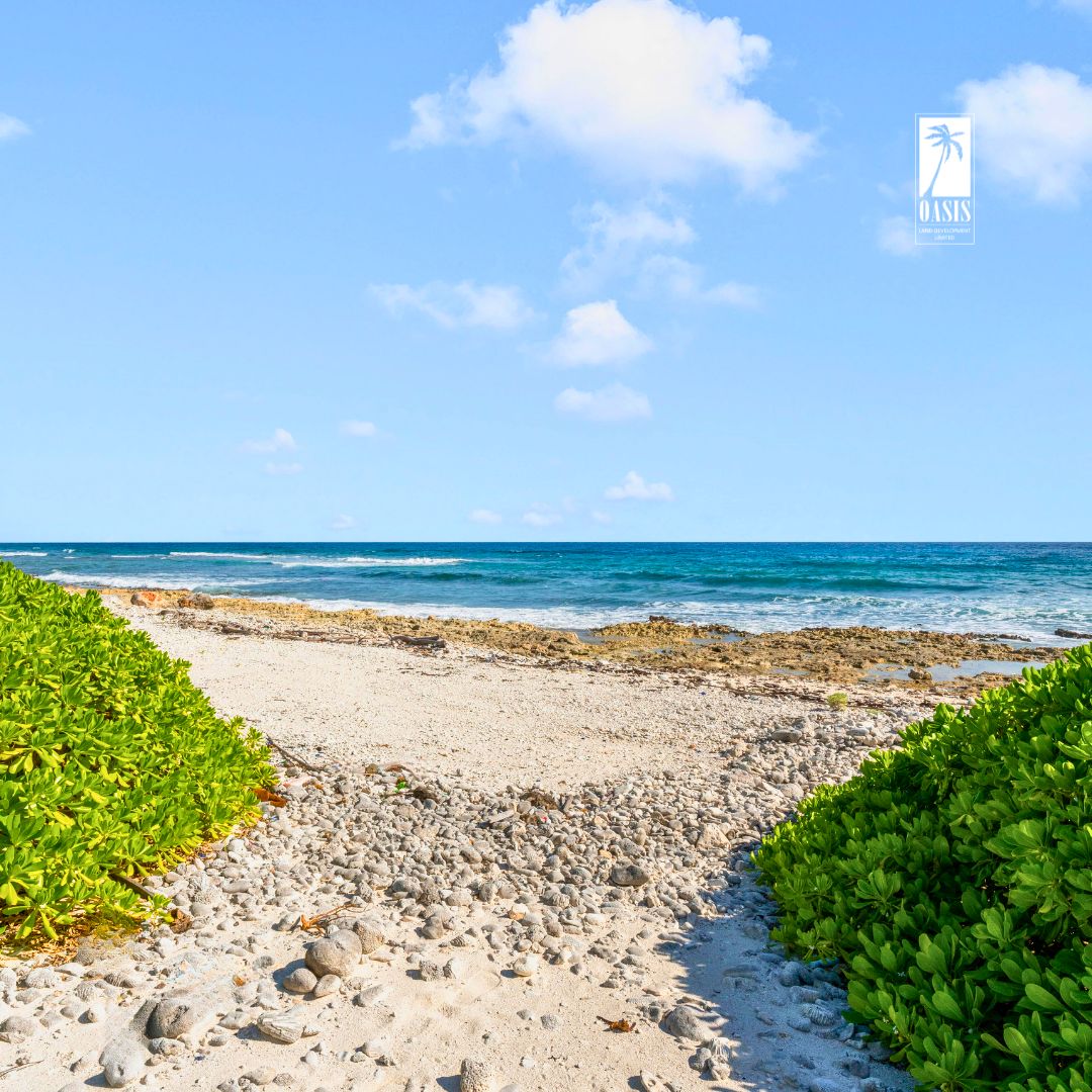 Cayman_Land's tweet photo. 🌅 Imagine sipping your morning coffee with this breathtaking view over the Caribbean Ocean from Azure Breeze. Your dream Cayman Islands Land Lot awaits! ☕🏝️ Explore more at https://t.co/uNt8NbE8Dq #CaribbeanLiving #AzureBreezeView https://t.co/RVTWNsMK5E
