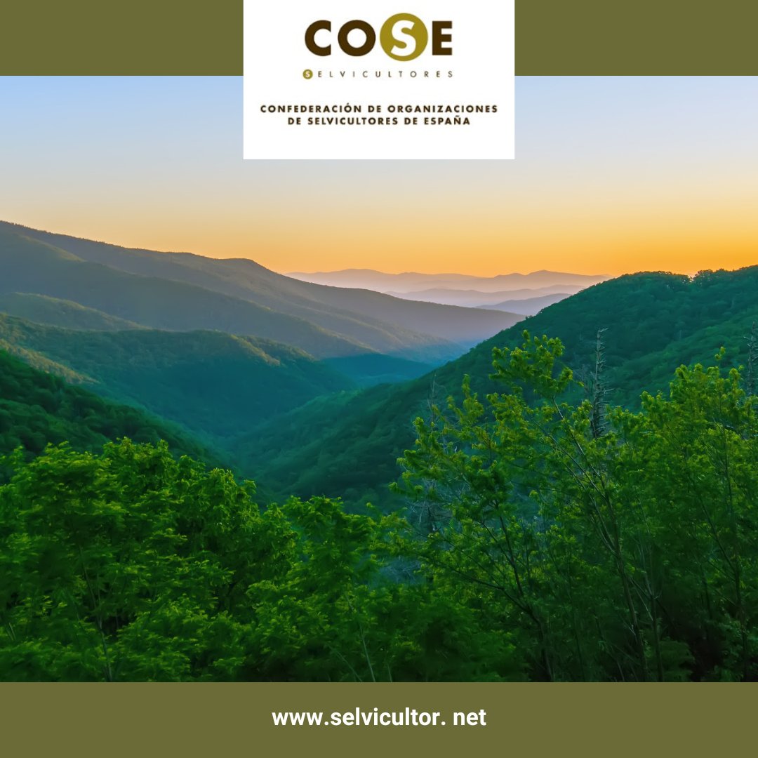 Selvicultores tweet media