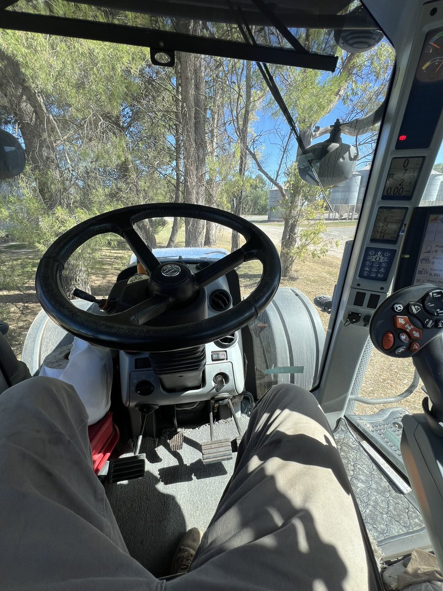 El campo no para. Eso si, hoy se busca sombra!