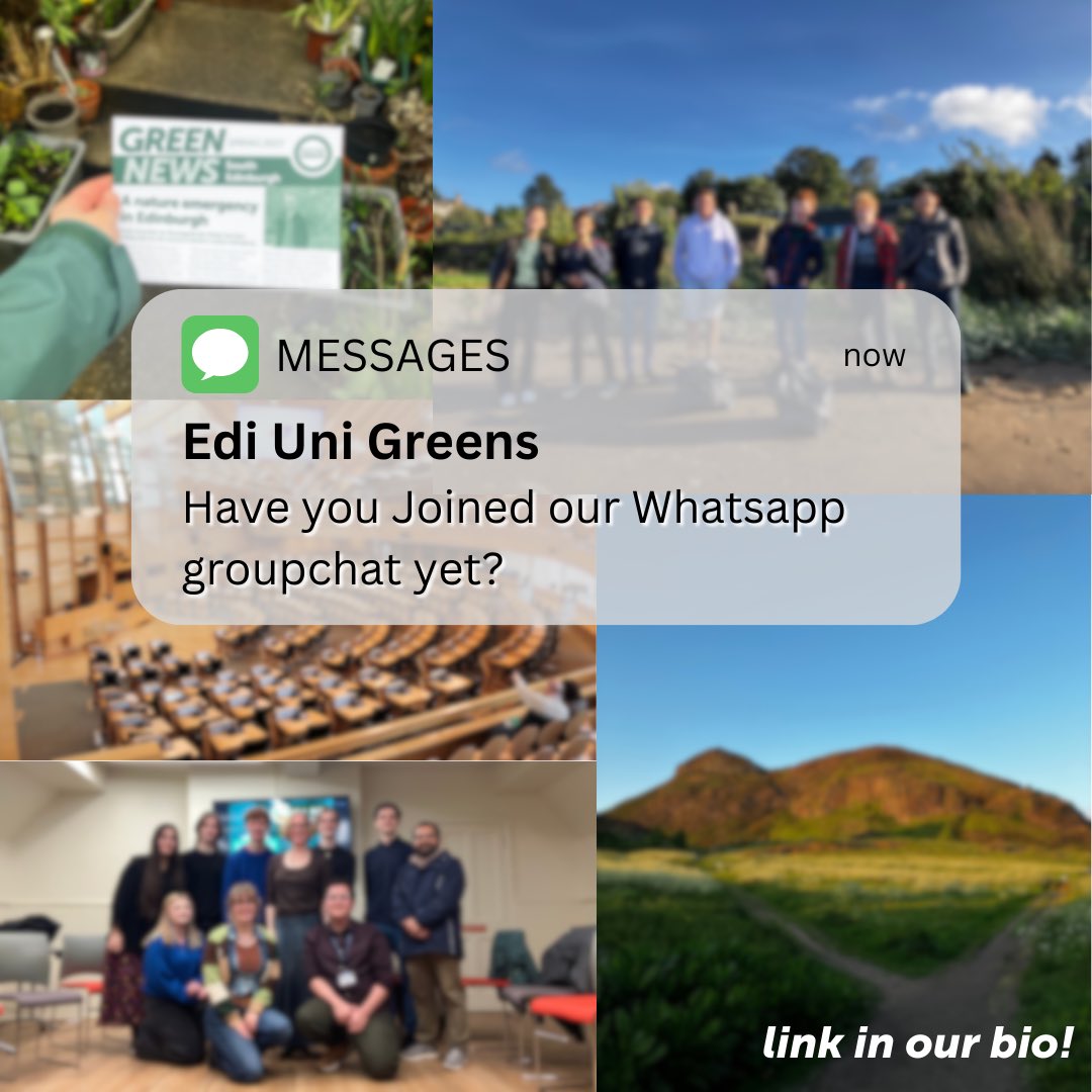 Join our whatsapp chat for the most up-to-date event info and to chat with us! Get to know other members better and ask any questions 😊💚