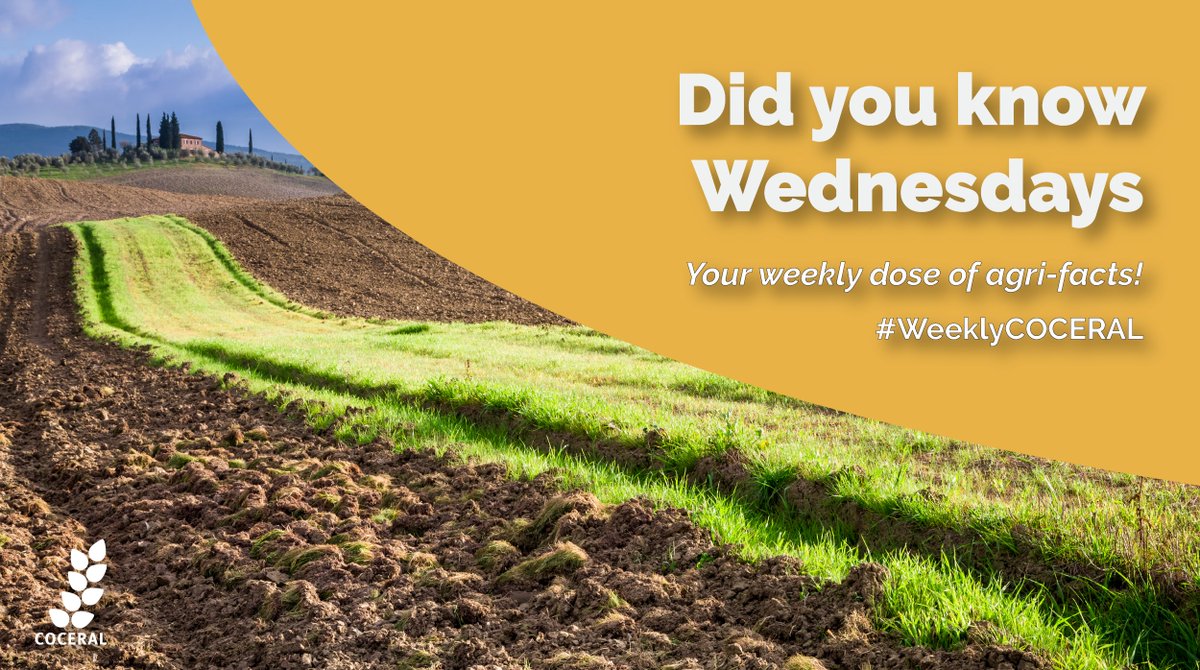 COCERAL_EU's tweet image. Did you know how important organic content is to water retention and overall soil health?

1⃣% increase in organic content ▶️ soil holds 150,000 litres more water per hectare (source: @FAO)

A good and healthy soil should have at least 4% organic matter! 🌱🌿🌳

#WeeklyCOCERAL