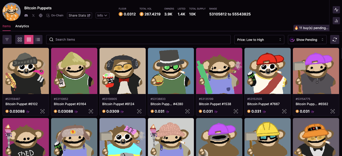 BoDoggos tweet media