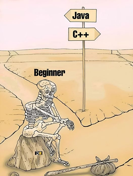 daboigbae's tweet image. As a programmer - what is the best language for beginners?