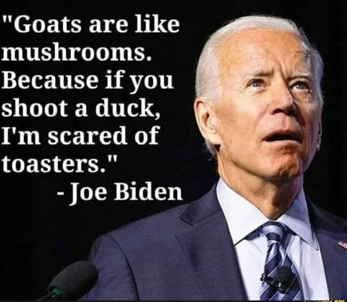 One of Biden’s greatest quotes!
