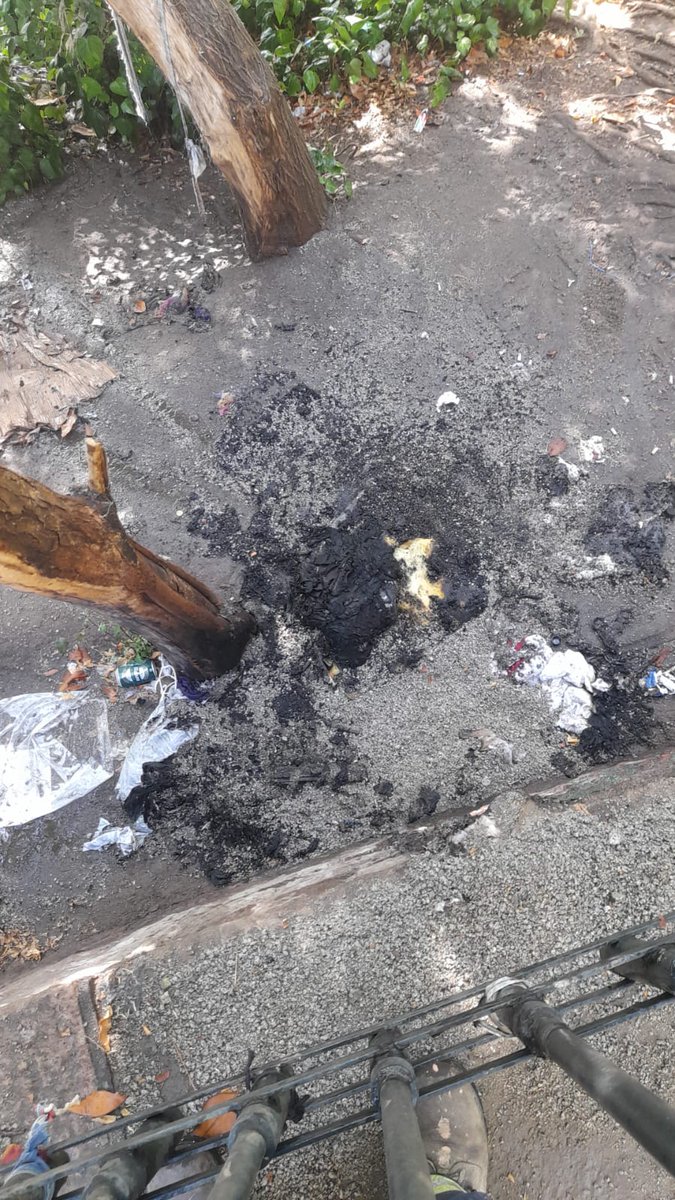 ElizabethQ5627's tweet photo. @TTISantiago Ese era el procedimiento de bomberos  son las casuchas de los indigentes https://t.co/oNzo8hbp1t
