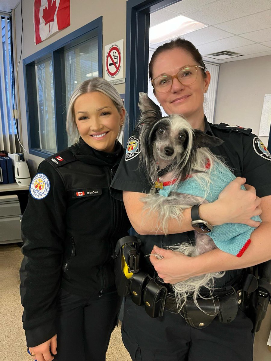 Marco’s dream of being a police dog <a href="/TPSK9/">Toronto Police K9</a> has finally come true!  He’s spending his first day on the job with <a href="/TPSJulie/">Julie Campbell</a> keeping <a href="/TPS13Div/">13 Division</a> safe! The bad guys better watch out 😉