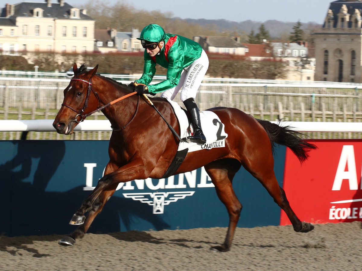 AgaKhanStuds's tweet photo. 🥇 #Canouann breaks his maiden @fgchantilly by 2 lengths to become the 5th winner of 2024 for H.H. the Aga Khan.

The son of #Siyouni is out of #Candara, making him a half-brother to 3 Stakes winners including Gr.2 winner and Gr.1 runner-up #Candarliya. https://t.co/yGpmhu9uQ2