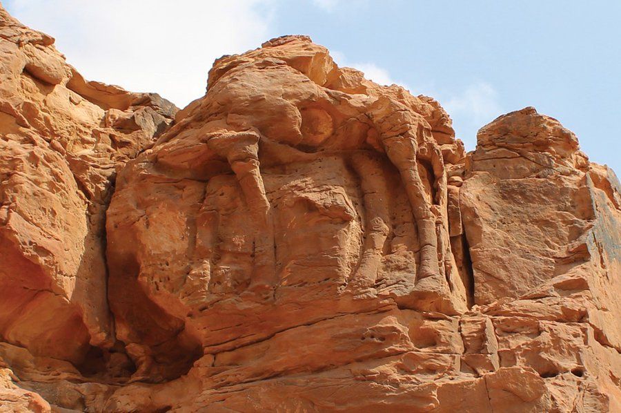 This beautiful relief depicts a life-sized, naturalistic camel 🐪

Similarities between camel engravings in the Nafud Desert suggest that they were made by the same person or group, that travelled hundreds of kilometres to make the art #ReliefWednesday

🆓 buff.ly/3tX8zni