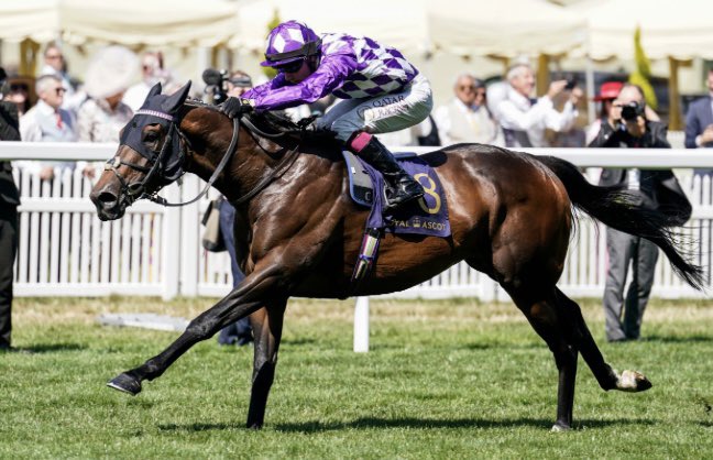 HighbankStud's tweet photo. We will be sending 3 mares to @dullingham_park Shaquille this season including Miss Delila (dam of 2 BT winners), a half-sister to Ayr Gold Cup winner Bielsa, and a half-sister to the dam of champion 2 year old filly Pretty Pollyanna. A very exciting young stallion. https://t.co/Lwzfc4ZMX9