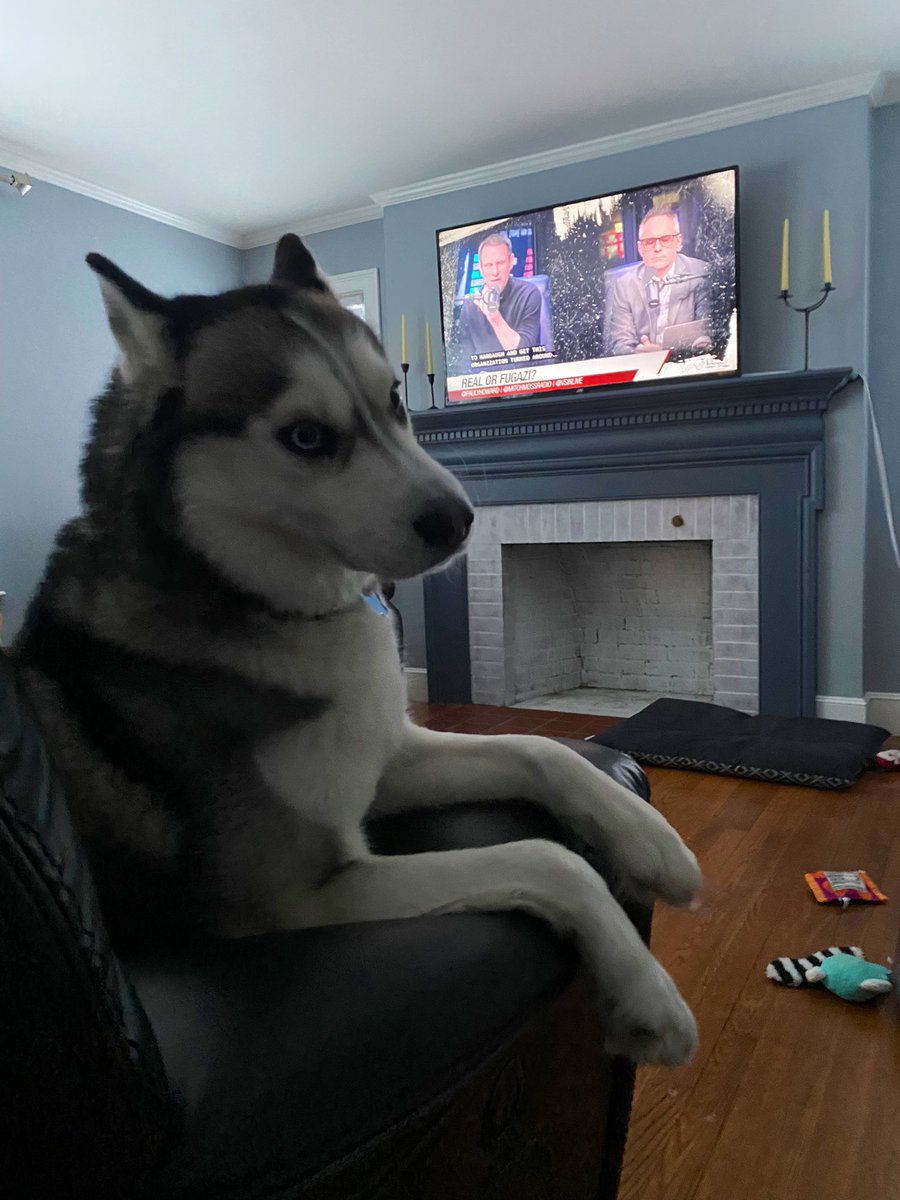 My dog is the Real Fugaz!!! #FollowTheMoney #EveryMorning #FollowTheDog