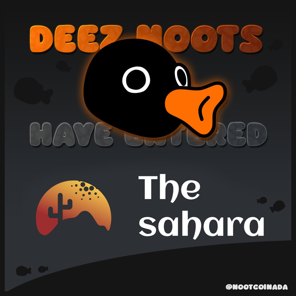 DEEZ NOOTS ($NOOT) 🐧 tweet media