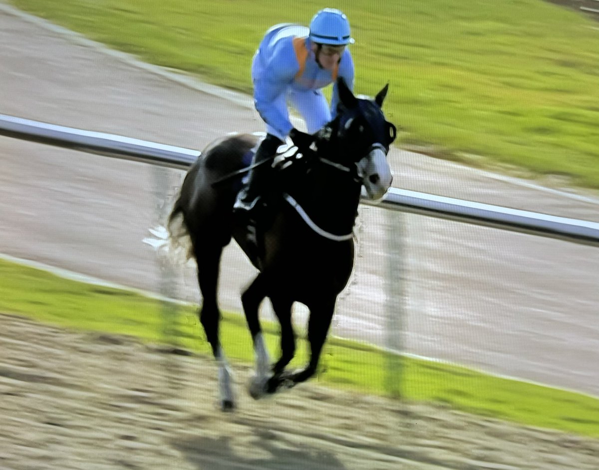 Congrats #Champion @amajox @E_Cagney WINS @BetUKOfficial @LingfieldPark for @RichardFahey #BlueYonder 🍑#9ran Well done Eireann! #topride #topjock 🌟