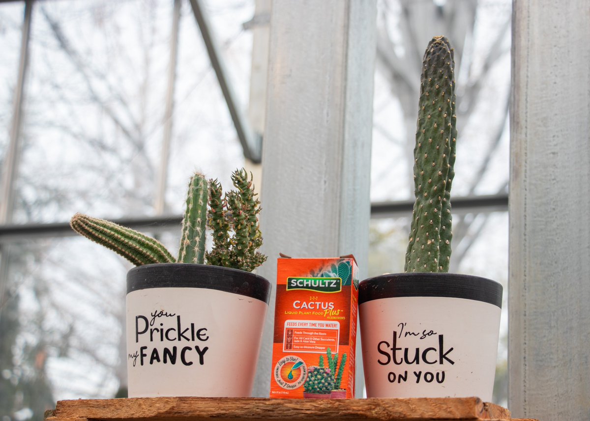 Get yourself a grab & go cactus pot to give as a gift or to brighten up your home or office. We have so many fun pots and plants for the perfect combination.  Add a little green to your gloomy winter today!
#Cactus #grabandgo #plants #shoplocal