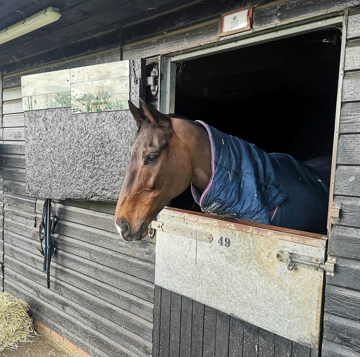 Frodon 💙 

The retired star peers over his stable door for the final time at Ditcheat this morning before saying goodbye to the  <a href="/PFNicholls/">Paul Nicholls OBE</a> team 🥹 

He moves in with Bryony Frost and family on Dartmoor today as he begins his retirement! 🫶