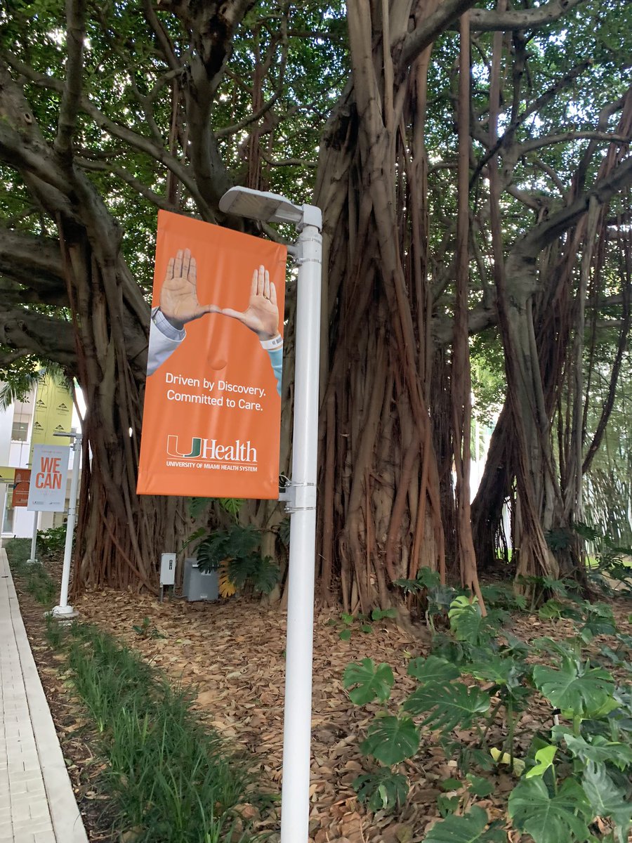 TaylorJ_MD's tweet photo. The 5-minute walk from my lab office to the hospital for rounds on #Leukemia service are some of the most peaceful minutes of the day. Even saw a manatee in the river! #whenonservice @SylvesterCancer https://t.co/qzLij5nHOh