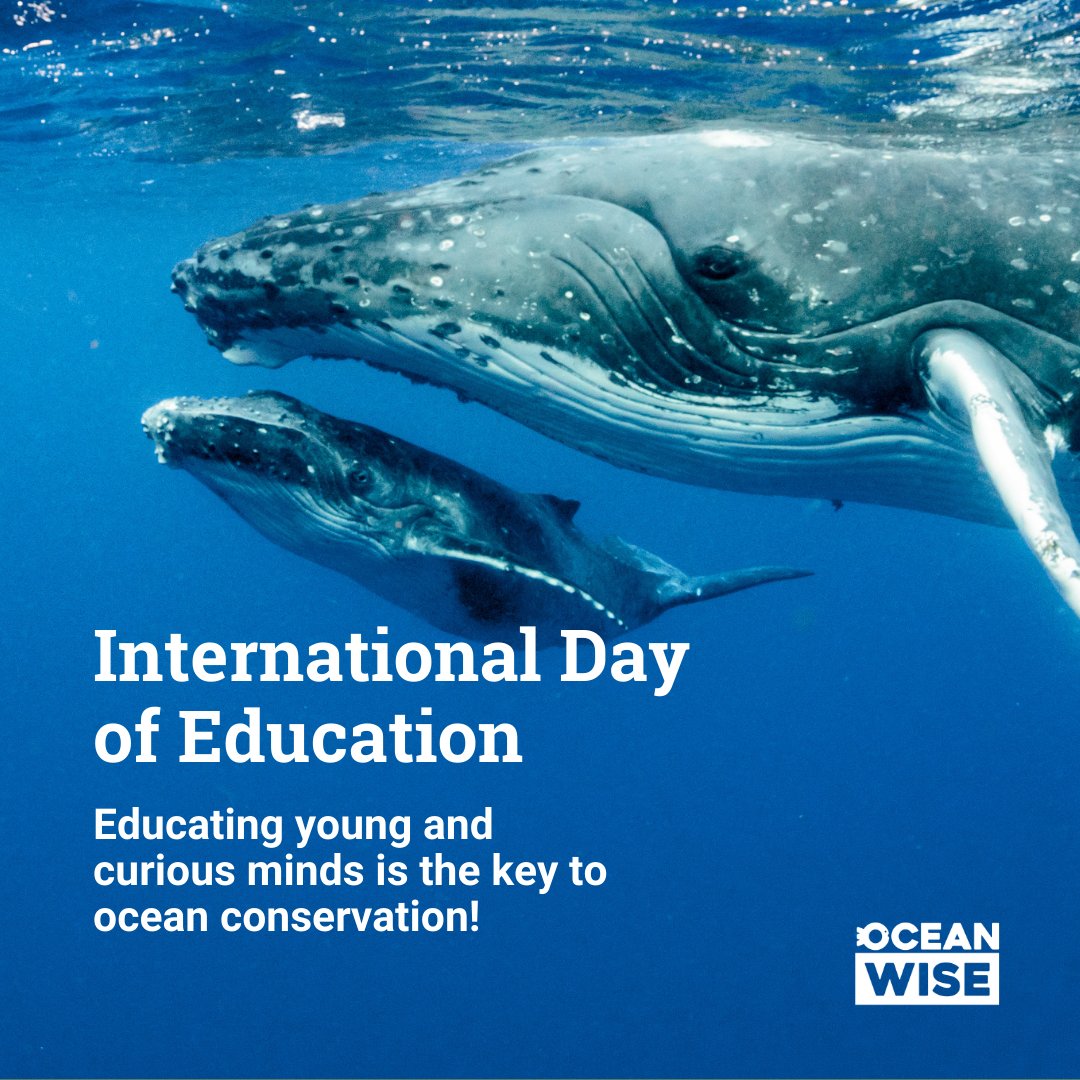 Ocean Wise Education tweet media