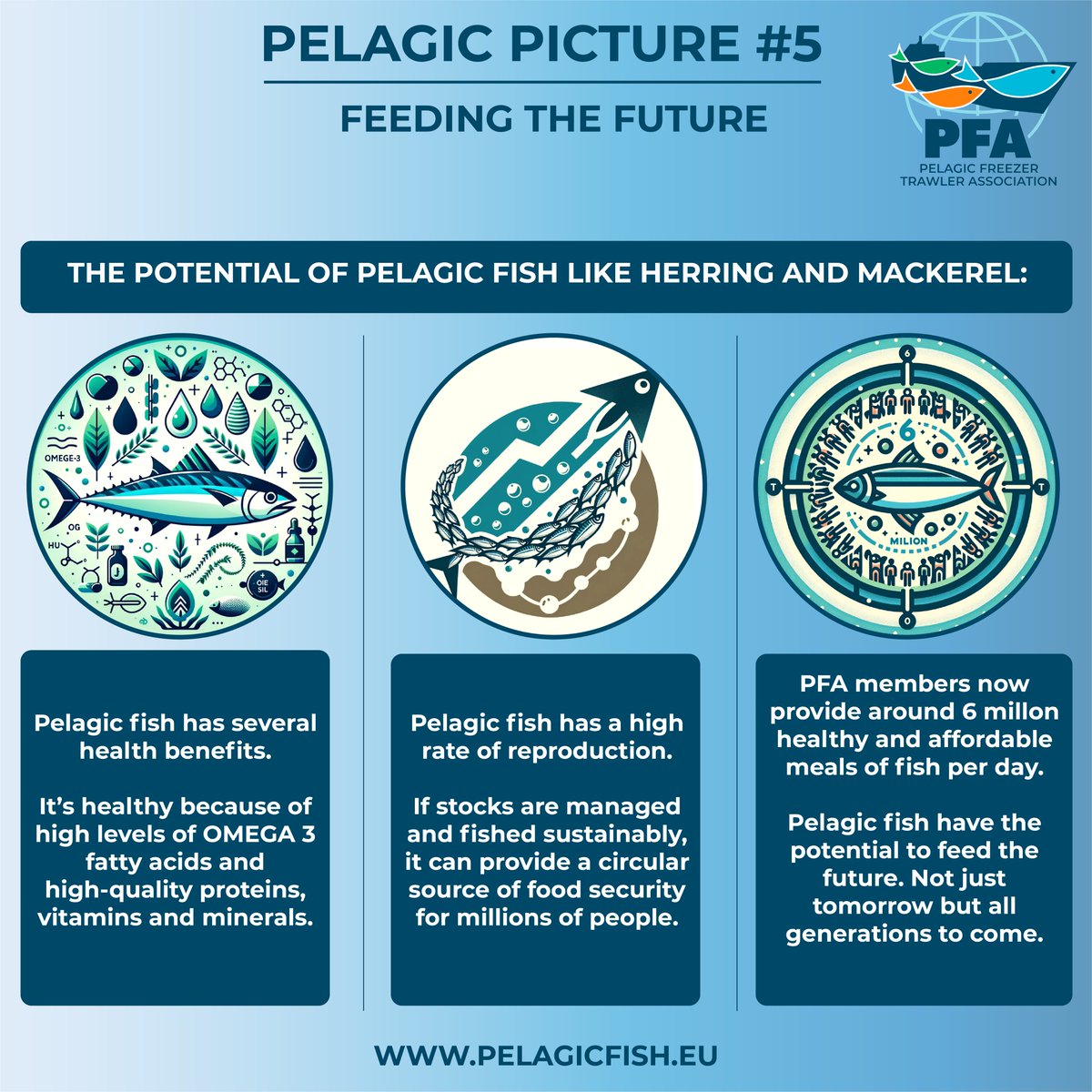 Pelagic Freezer Trawler Association tweet media
