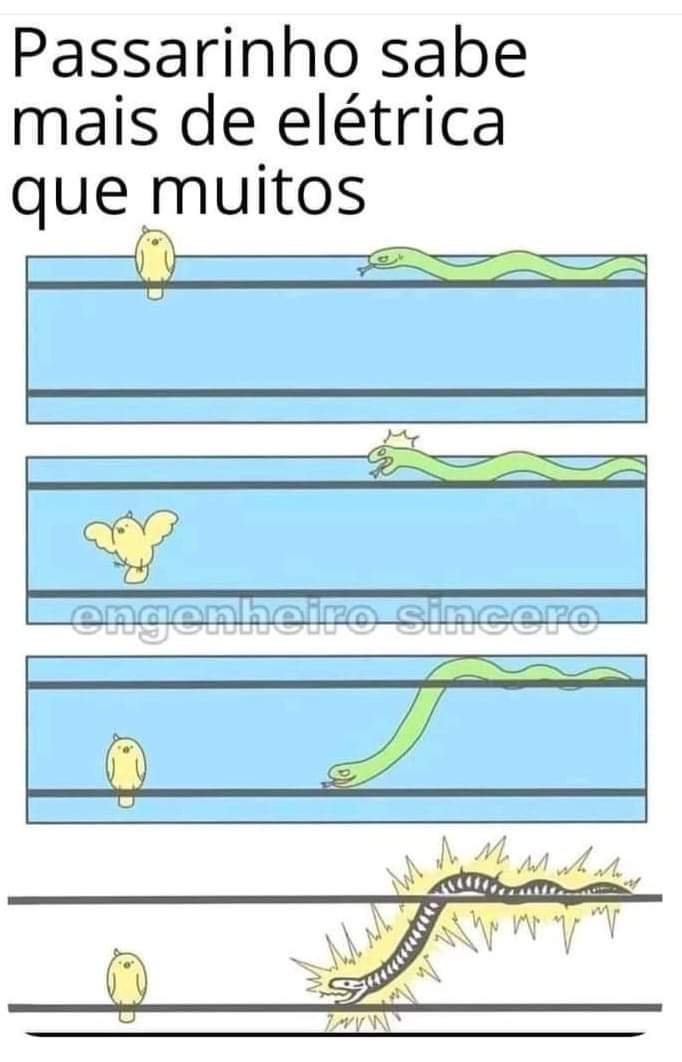 Observem que a distância entre as patas do pássaro é bem curta, assim não sendo suficiente para gerar uma diferença de potencial elétrico entre dois pontos (DDP). Portanto, como não tem DDP não tem corrente elétrica perpassando pelo pássaro(1ª Lei de Ohm).