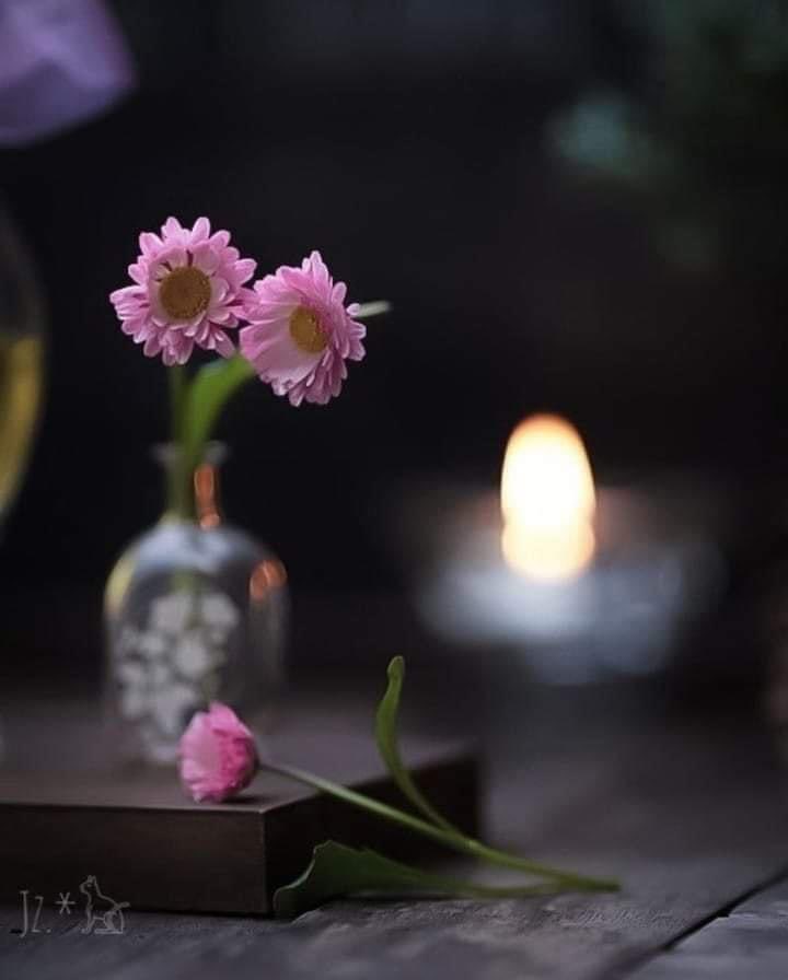 #الحب_بجمله

أخبِروا قلوبكم الَّتِي طَالَ صَبرُها بأنَّ 
﴿ اللَّهُ يُحِبُّ الصَّابِرِينَ ﴾