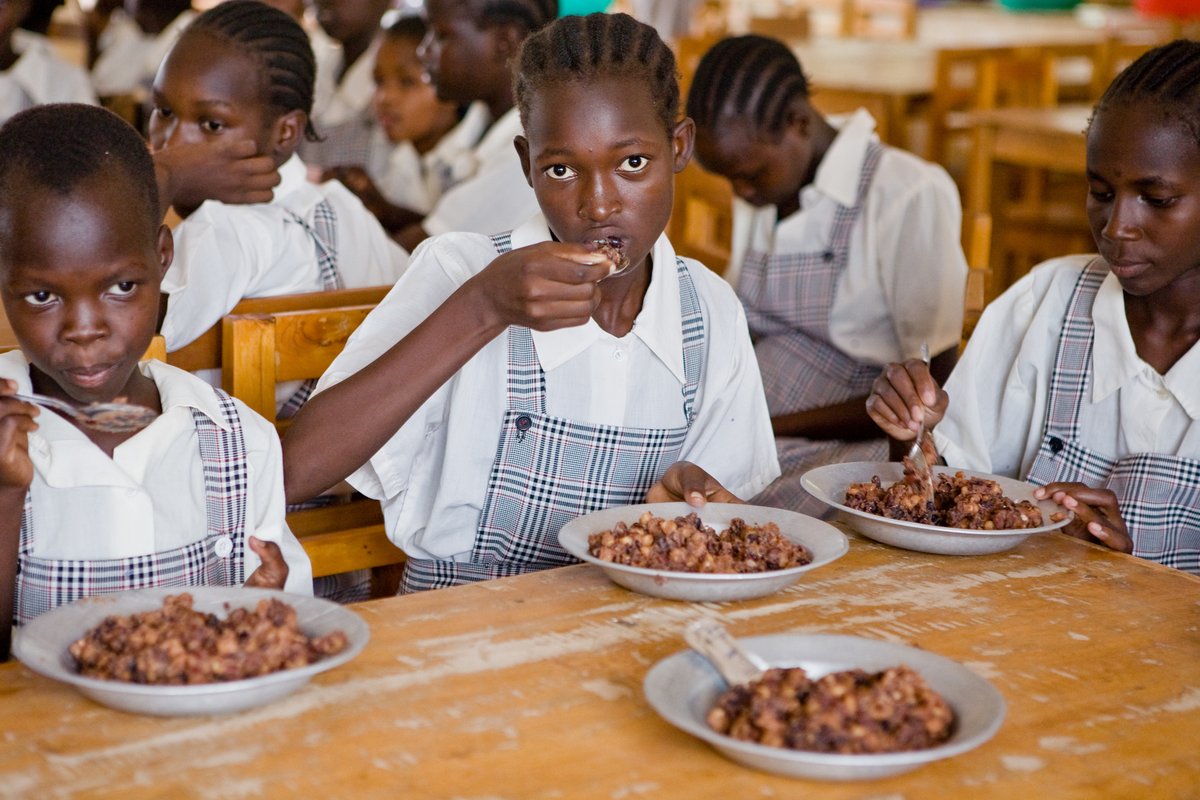 What's in a #SchoolMeal? 
Hint: It provides more than what you see on the plate! 🥘

This #EducationDay, we highlight the importance of providing nutritious meals to students in LMICs:

📖 They enhance the health of children and adolescents, supporting overall well-being, thus…