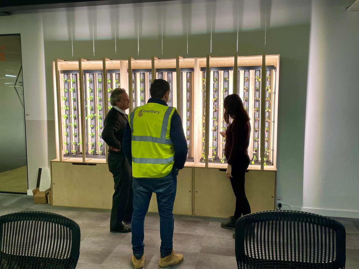 Overburyplc's tweet photo. Rethink vertical farming! One of our London fit out teams are  transforming food thinking with hydroponic towers in their office. Thanks, Square Mile Farm, for trust and teachings. Excited for harvest day! 🌾 
#SquareMileFarm #VerticalFarming https://t.co/LVTwi1Yj6d