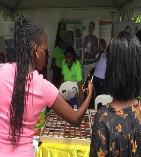 Numerous pictures were taken by visitors who were excited to see the disappearing indigenous crops displayed. Kindly visit us  on pgrc.go.ug #pgrc #plantgenetic #research2024 #genebank