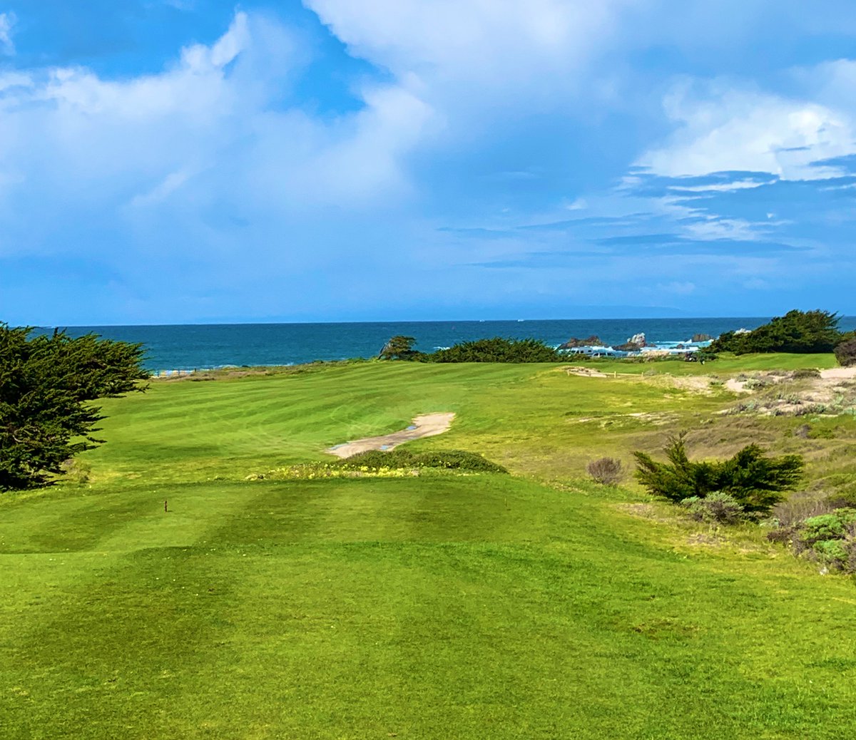 Rick Golfs tweet media