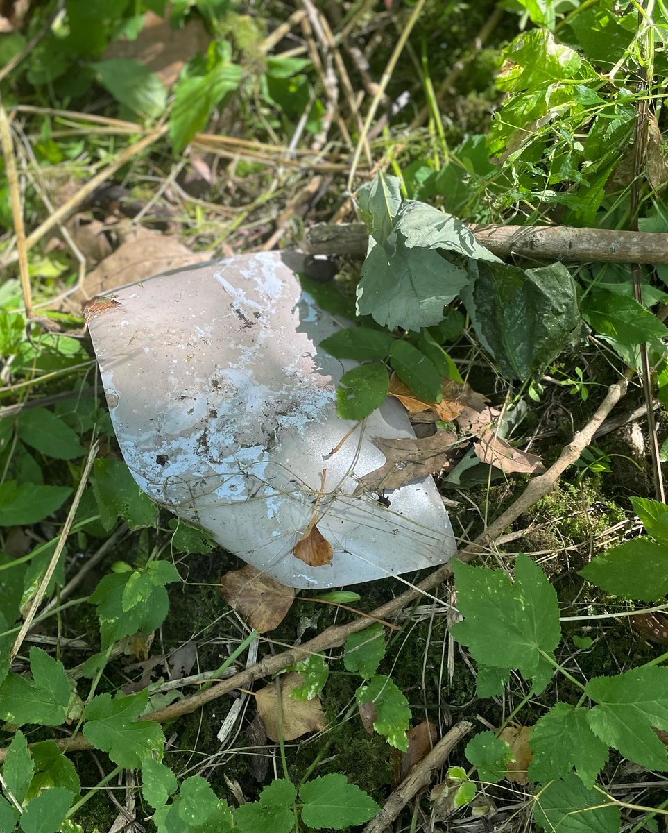 Liz Wewiora tweet media