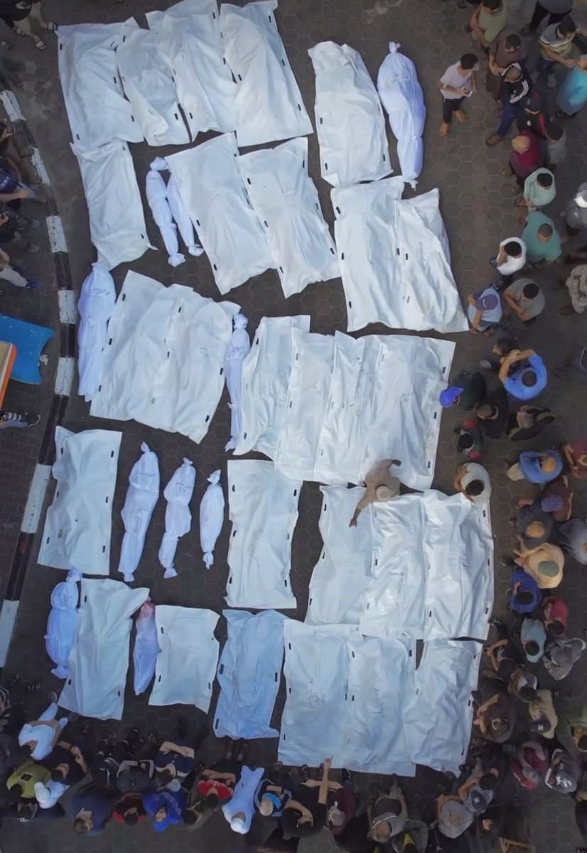 Haadiya Sajid tweet media