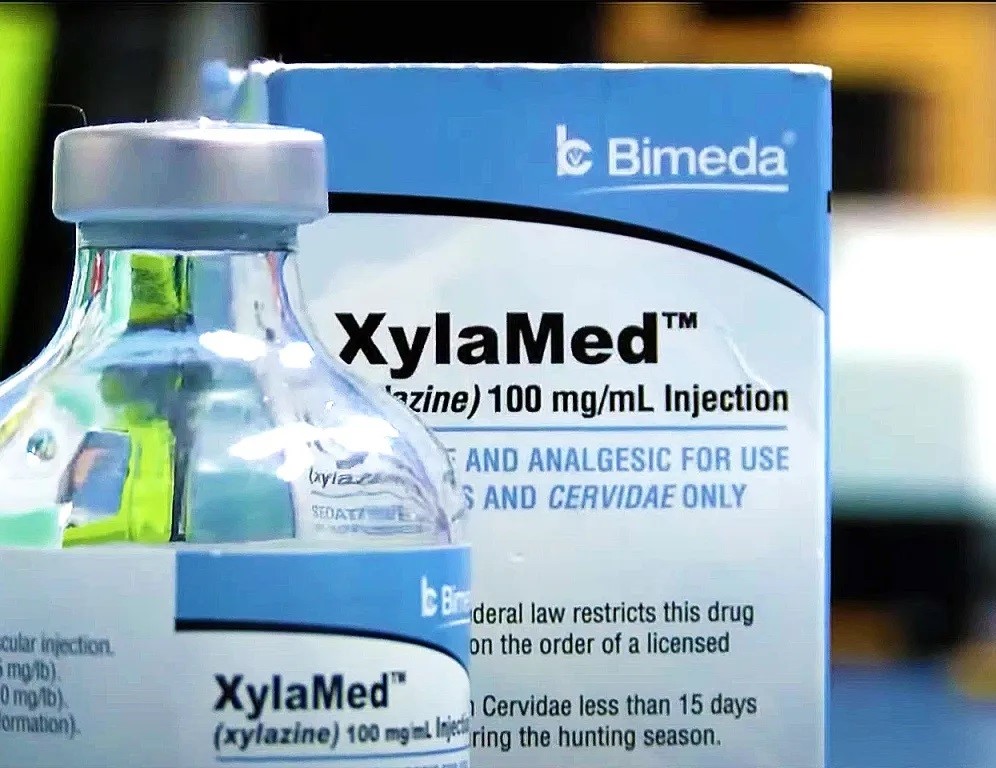 NEW: Health Federation of Philadelphia and #Philadelphia Department of Public Health Develop Recommendations For Caring For Individuals With #Xylazine-Associated Wounds

➡️ healthfederation.org/health-federat…